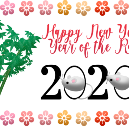 nový rok krysy